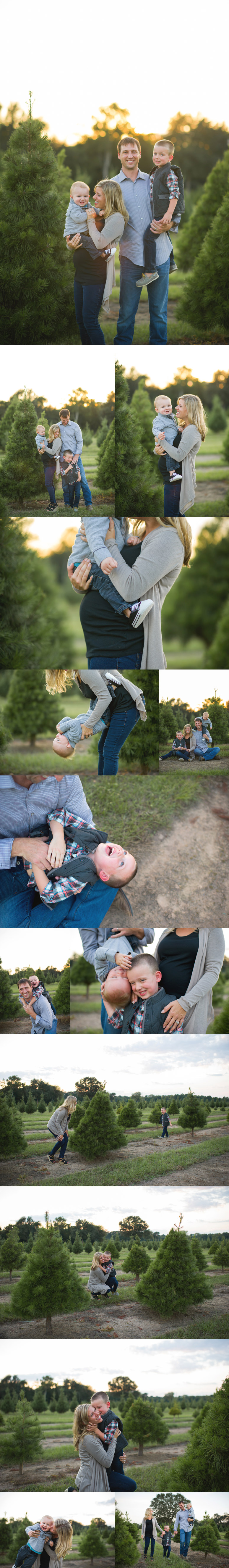 Boy, boy, boy.... Houston Family Photographer 