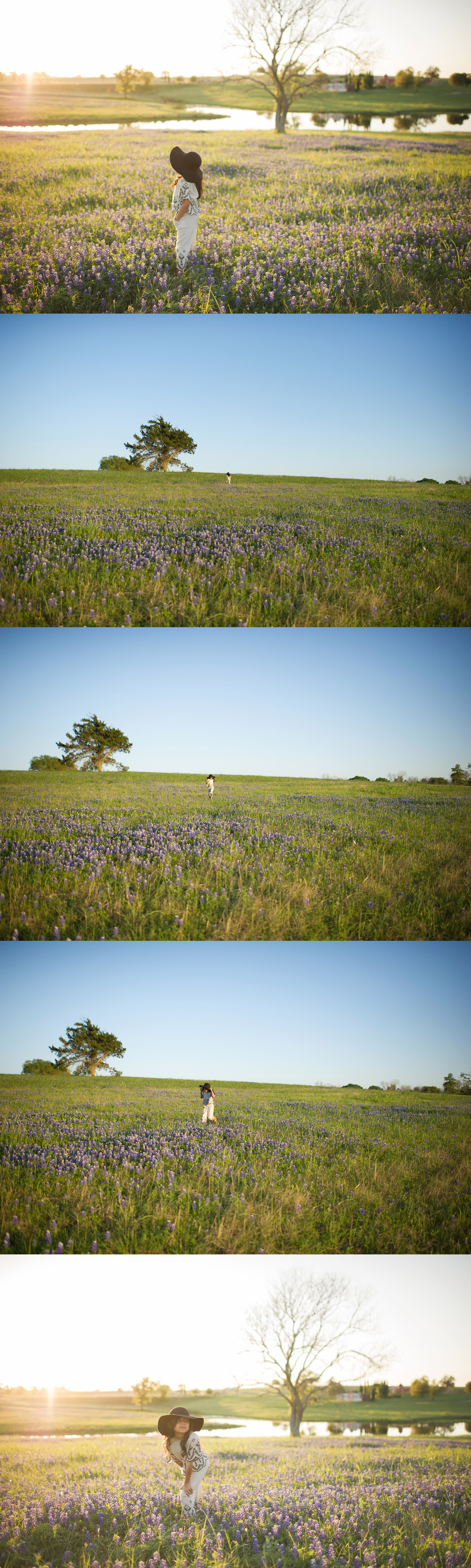 Bluebonnets in a pond. Houston Texas State flower.