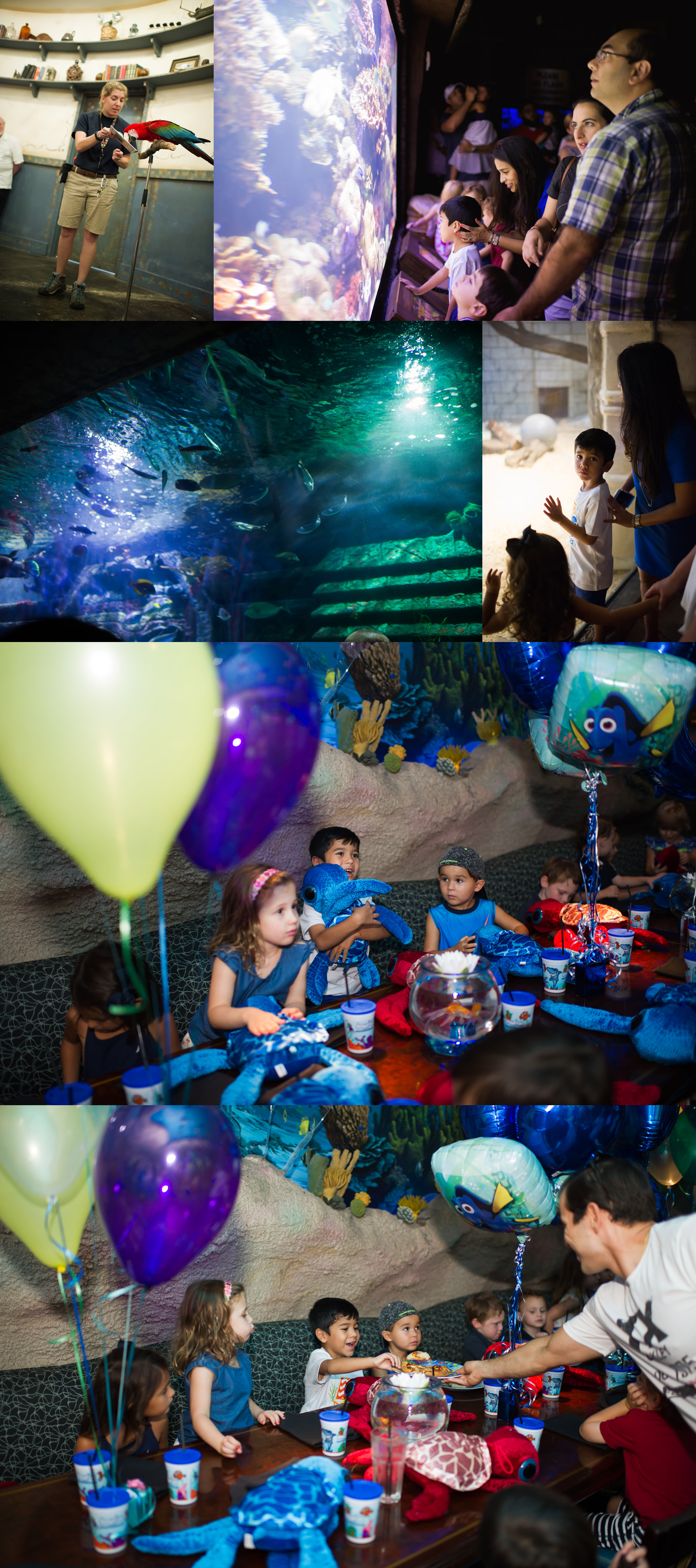 Houston's under the sea birthday party candid photography 
