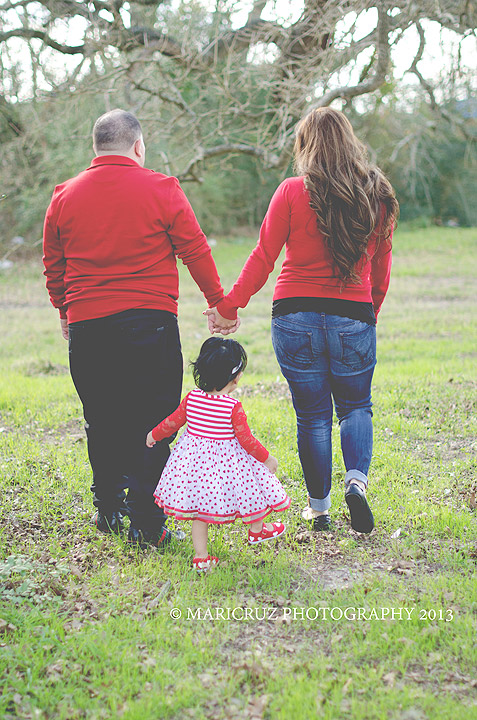 Houston Tx Family Photographer