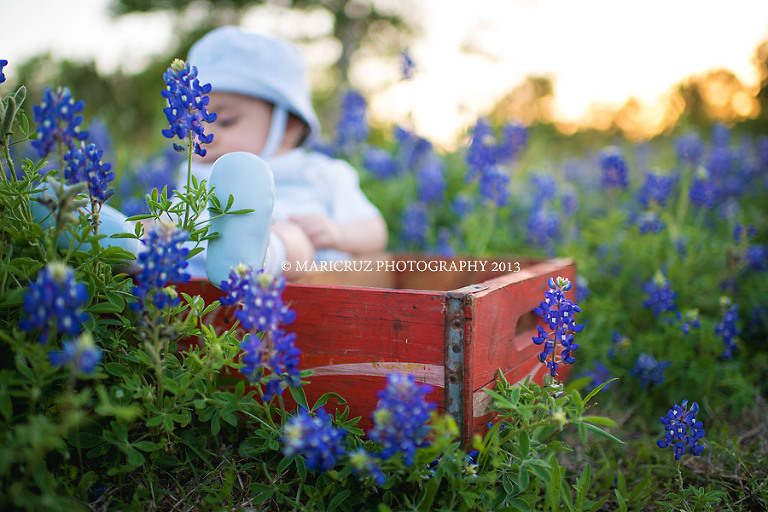 Katy TX Child Photographer