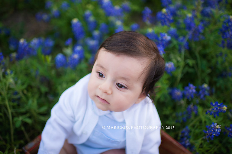Katy TX Child Photographer