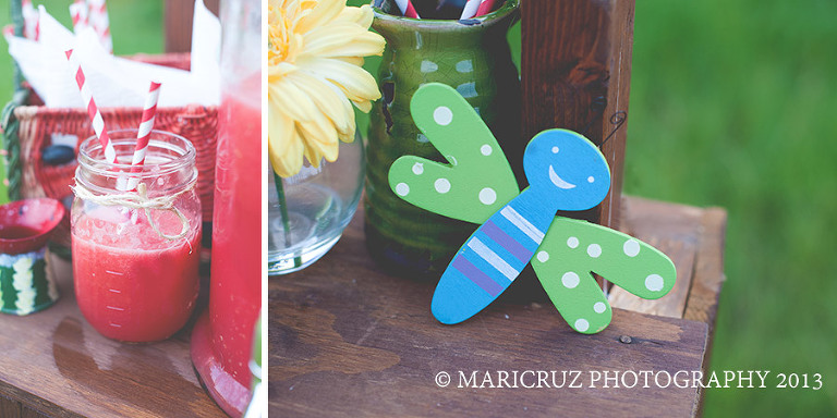 Cypress TX Child & Family Photographer