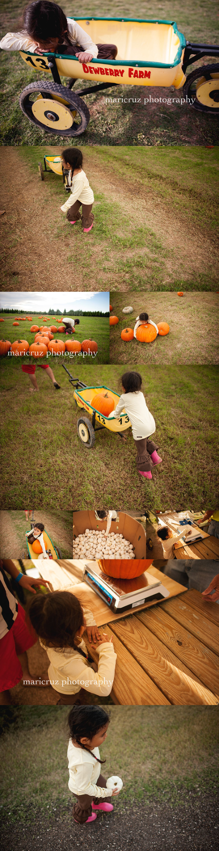 Maricruz Photography | Lifestyle Photographer 