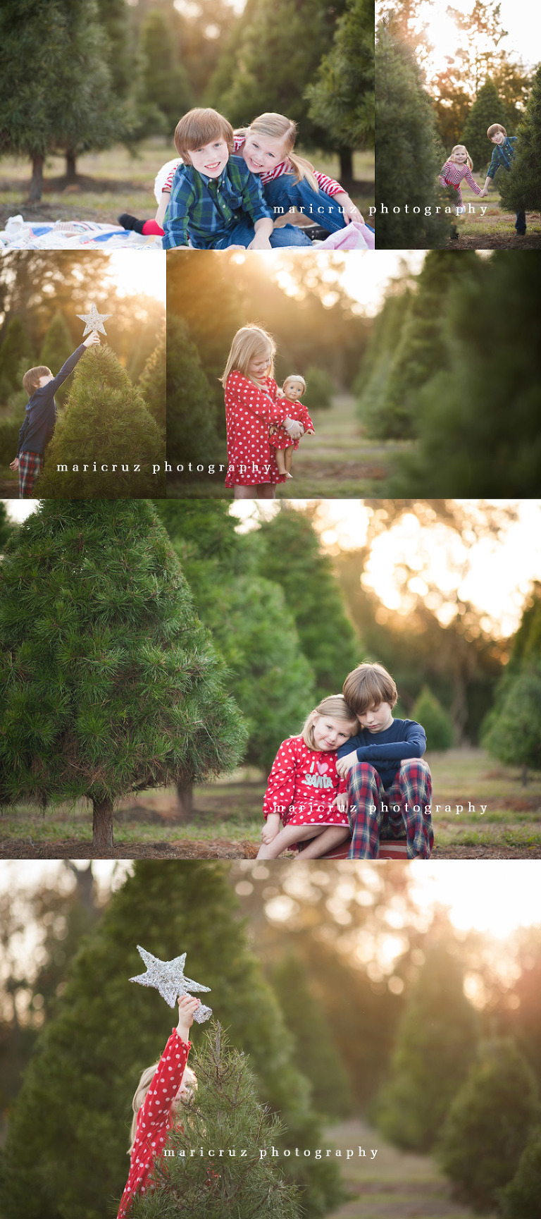 Tree Farm Houston TX Photographer 