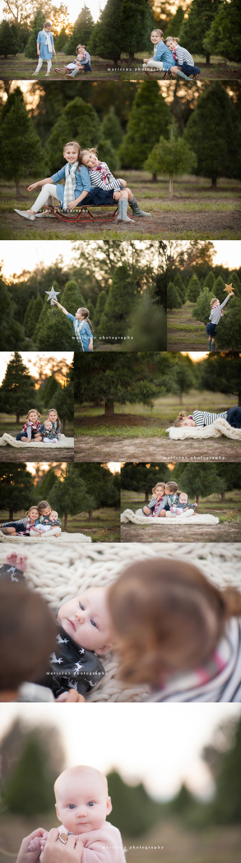 Tree Farm The Woodlands TX Family Photographer 