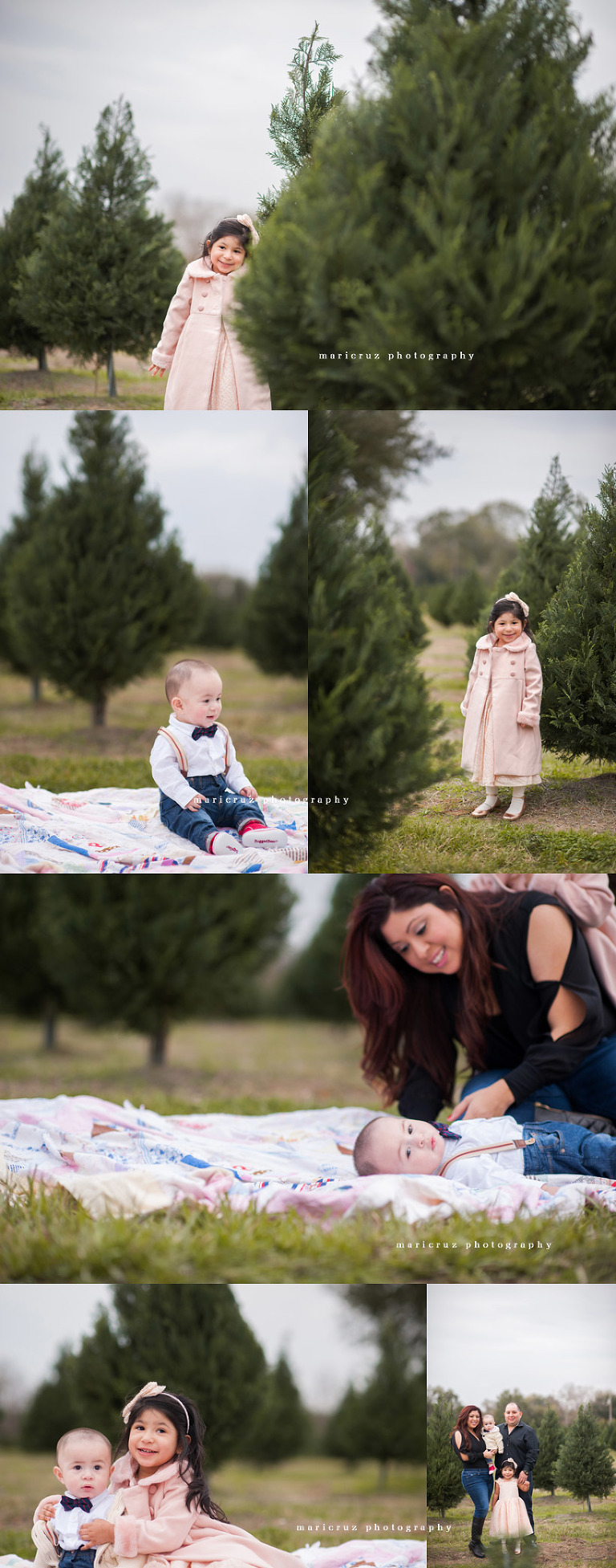 Tree Farm Sessions | Houston TX Family Photographer