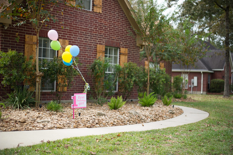 Unicorn party Houston Texas. 