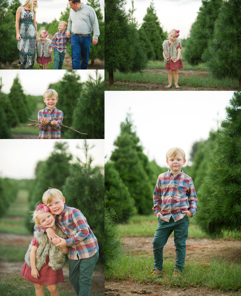 TREE FARM HOUSTON PHOTOGRAPHER... TOMBALL TEXAS FAMILY PHOTOGRAPHY