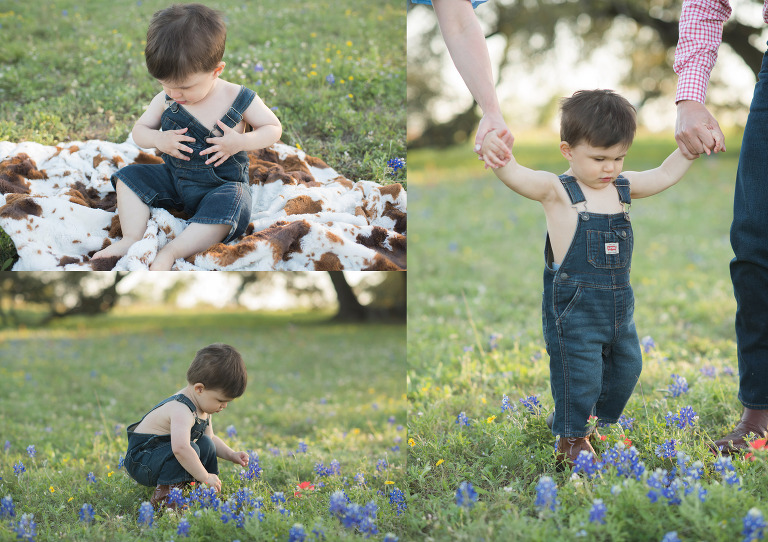 baby photography houston bluebonnet.